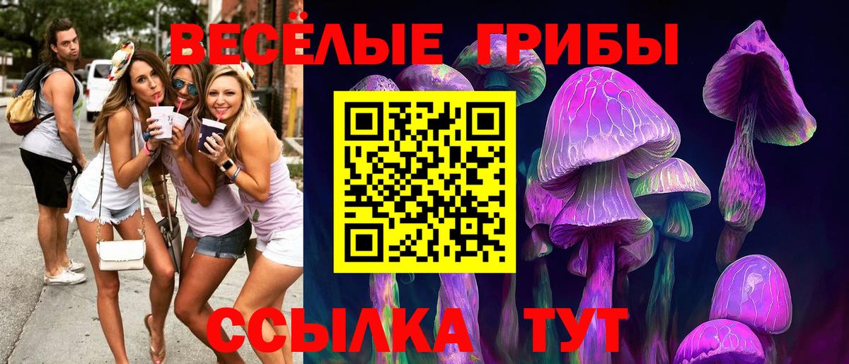 Ейск  где можно купить наркотик  Вход с VPN  Псилоцибиновые грибы Psilocybine cubensis  Галлюциногенные грибы ЛСД 
